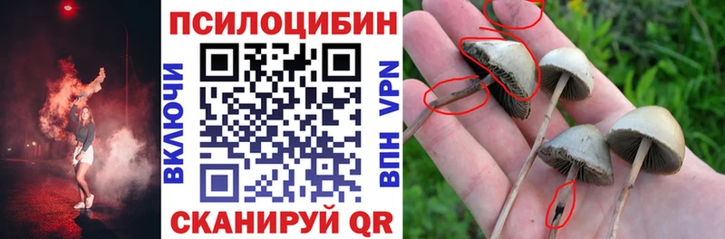 Псилоцибиновые грибы ЛСД  Буинск 